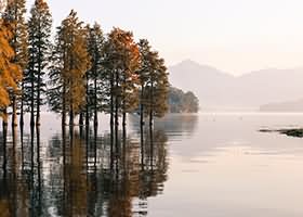 双木扶苏cosplay写真合集12期 6GB高清资源下载