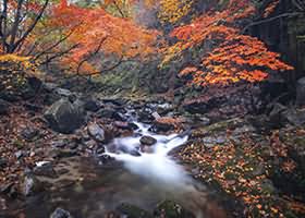 双木扶苏cosplay写真合集12期 6GB高清资源下载